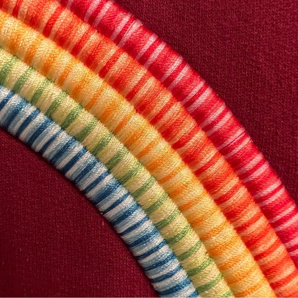 Care Bears Rainbow Embroidered Burgundy Maroon Sweatshirt Hoodie Medium - Picture 4 of 6